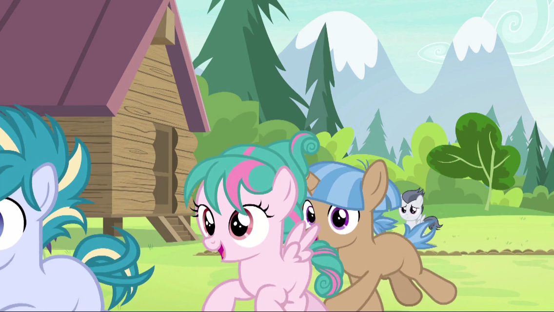 小马宝莉中不可思议的细节(18)