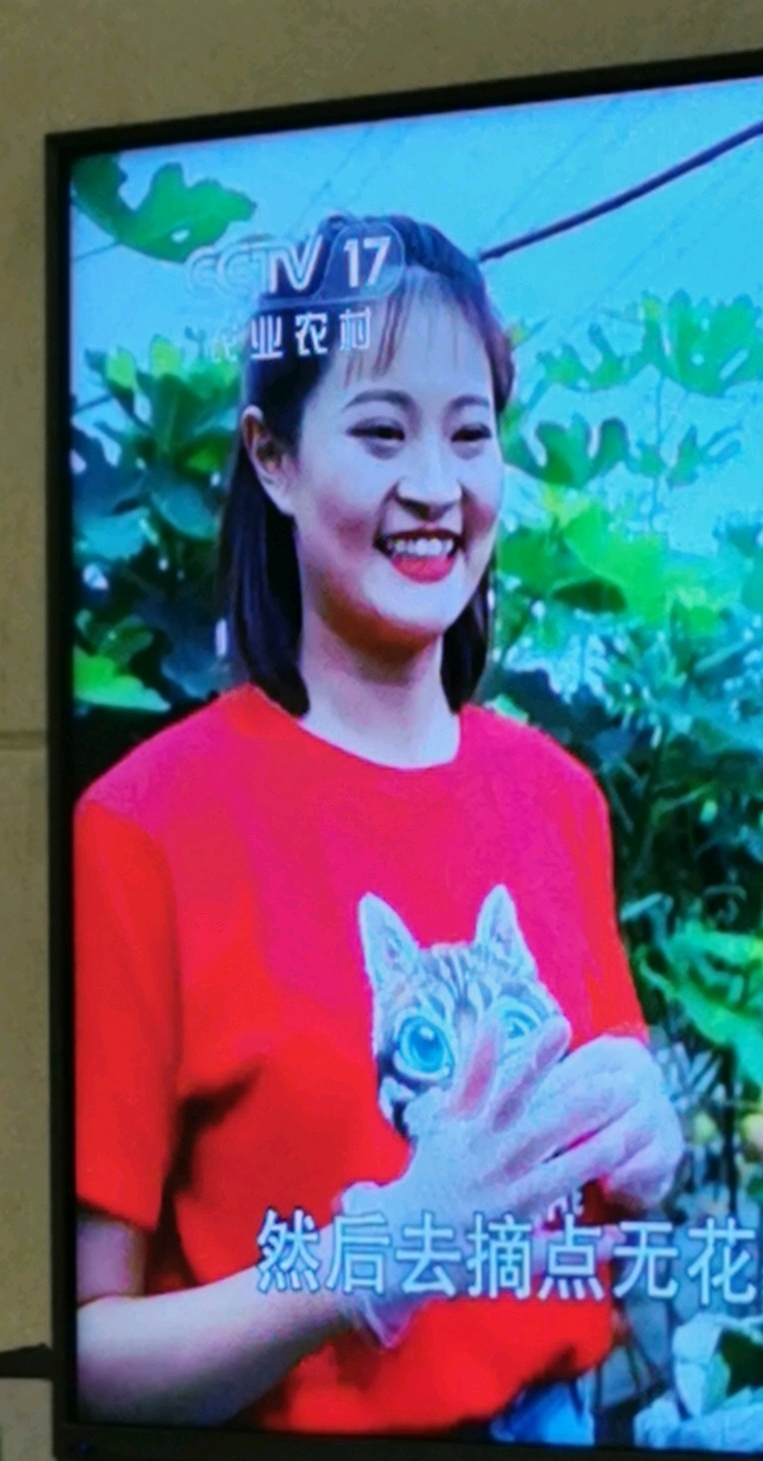 在家闲闲无事,竟在电视发现了杨树梢