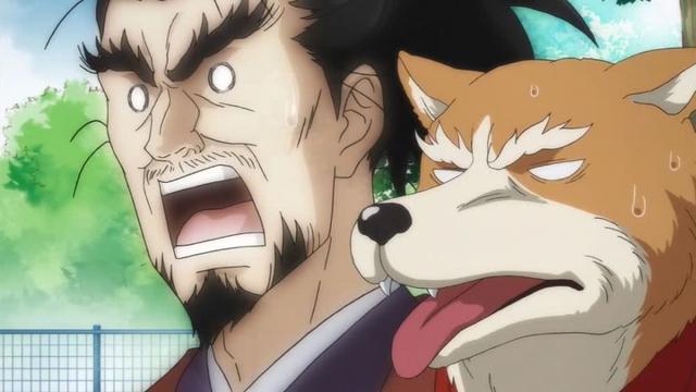 看《织田肉桂信长,聊日本战国历史