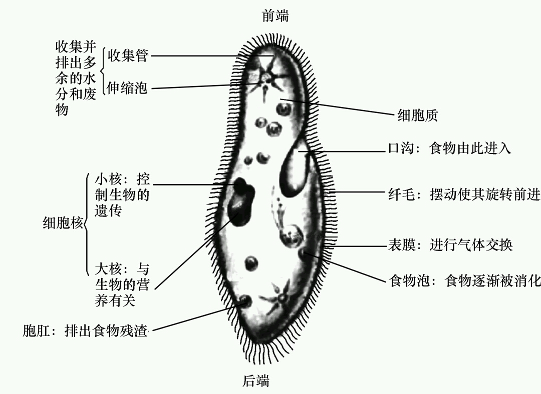 8b5ee342d76331a94341fed7688b36f43f84d0d4.jpg