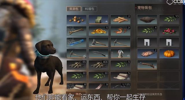 ׿ڿƼƻVǶ֮󡷻ʽ湷