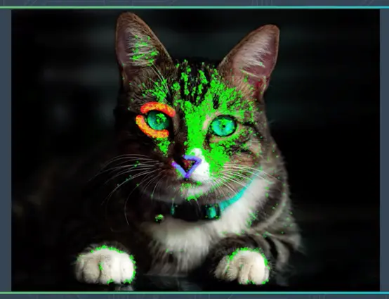 1596267381561087.png image.png
