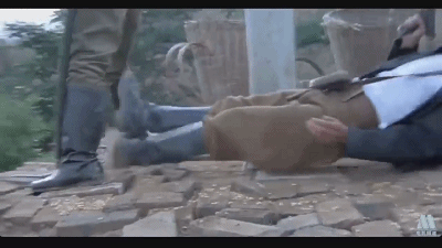 由郭达,潘长江出演 在抗日战争时期 郭大叔赶着装有国宝金菩萨的驴车