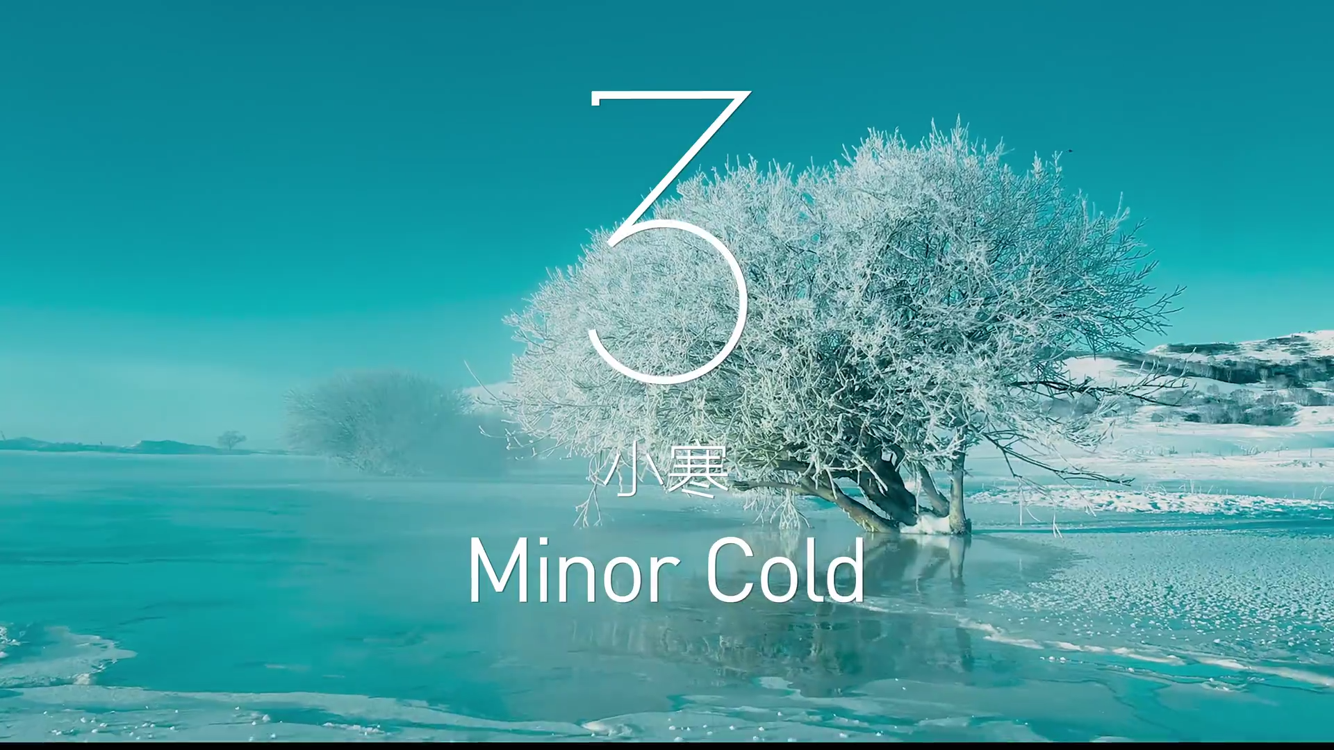 8c00d5877c6a252c80ff4175975b1f6a83a90376.png