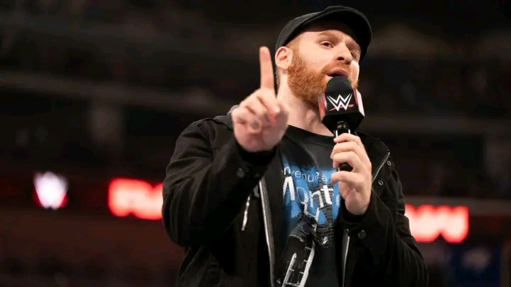 〈cm〉盘点被wwe浪费的超级明星(一)萨米扎恩 下