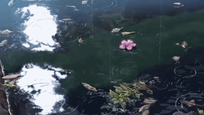 烟叶之庭中细腻的雨水