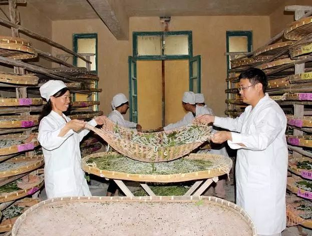 丝绸的诞生:一只蚕宝宝的自述
