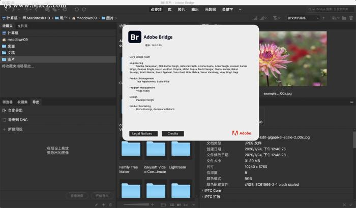 重磅adobe2021winmac专业版全部上线pspr这些新功能用着真香