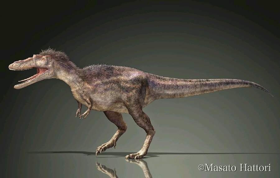 中华虔州龙(qianzhousaurus sinensis)又称匹诺曹暴龙,分在兽脚亚目