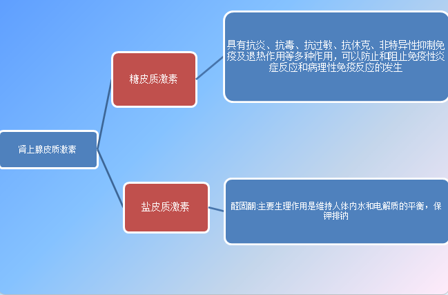糖皮质激素与盐皮质激素糖皮质激素（作用实在是太多了本文就挑几个讲）: