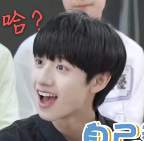 tf家族三代表情包