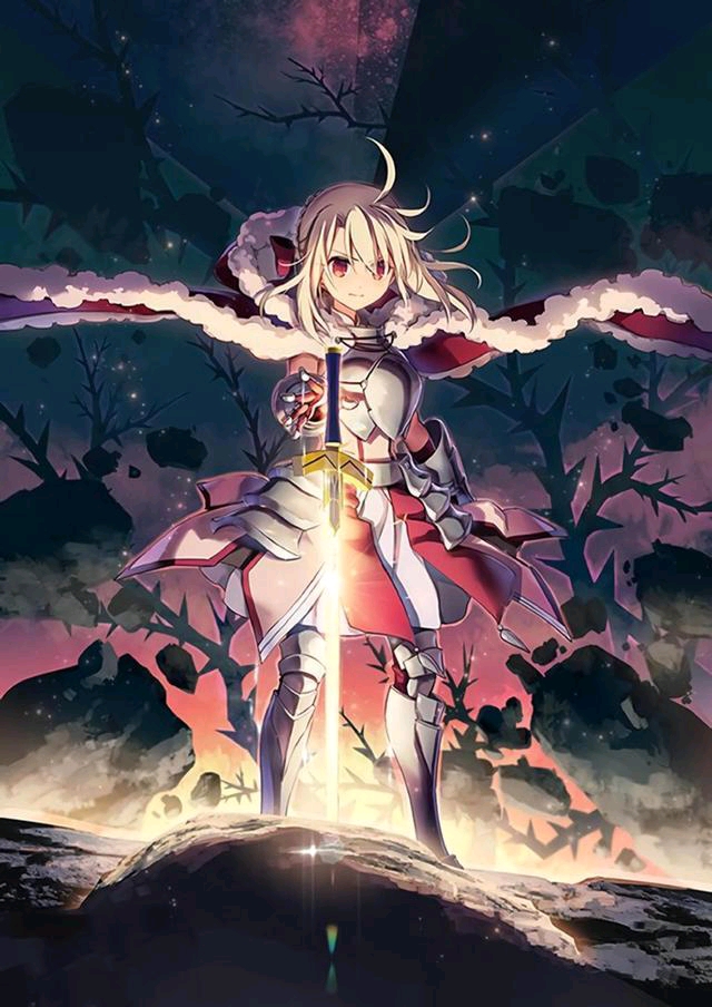 fate超清壁纸 手机壁纸,fate超清壁纸手机壁纸 fate壁纸伊莉雅,人活着就是为了伊莉雅