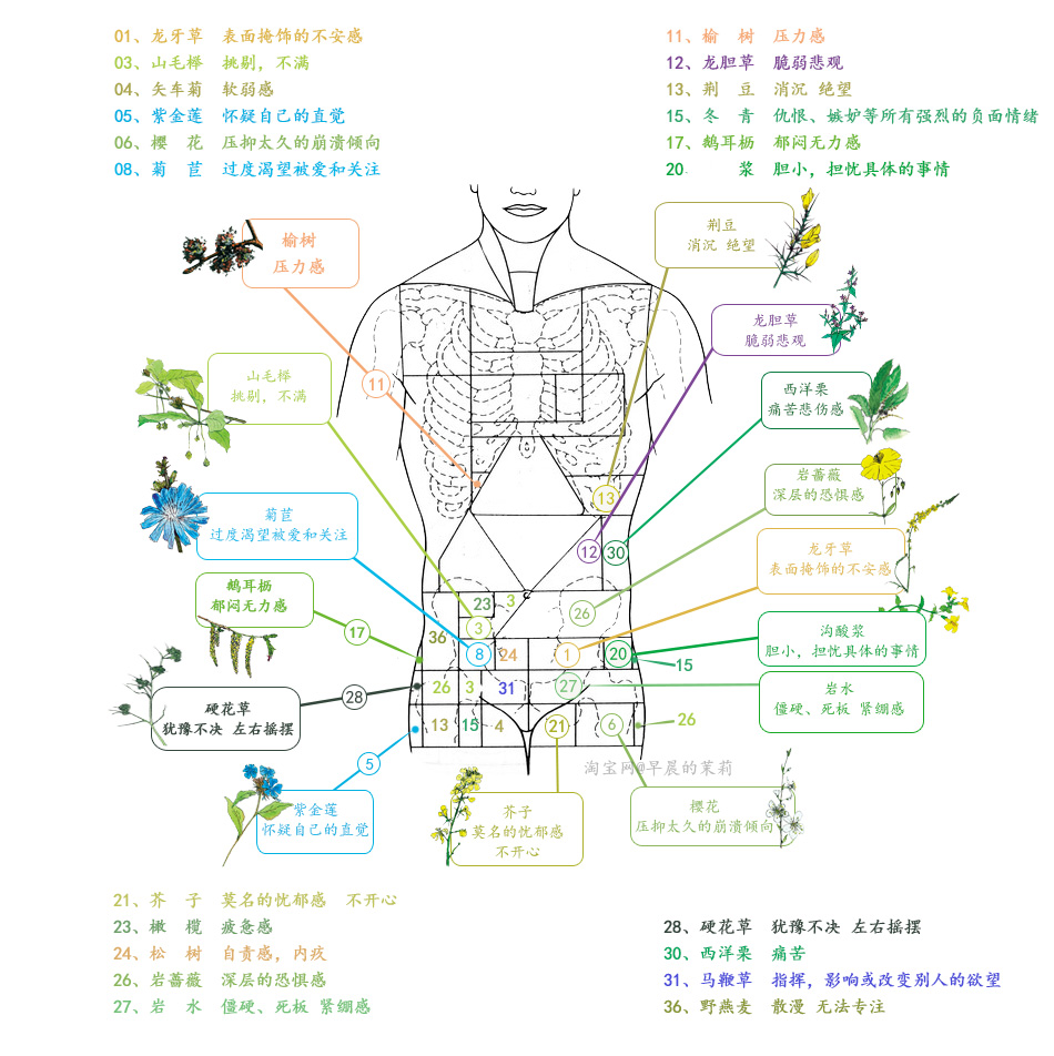 花精附录:情绪自测详表 & 身体地图