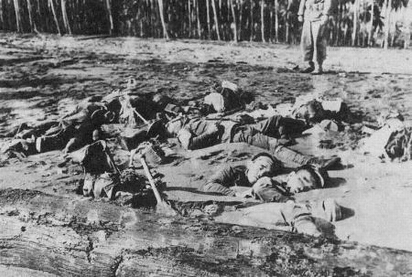 瓜岛争夺战战场上日军伤亡的惨状