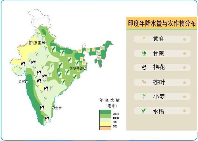 印度地处热带地区,为什么会大面积种植温带粮食作物"小麦"?