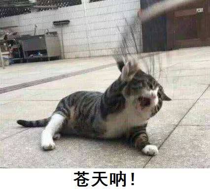 什么样的人生是值得追求的 8e7d4202a49be5c03a0b92e8cd577a0fe6424fcd.jpg