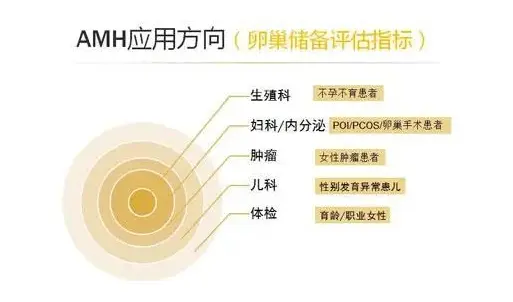 如何有效使用AMH进行网站建设？