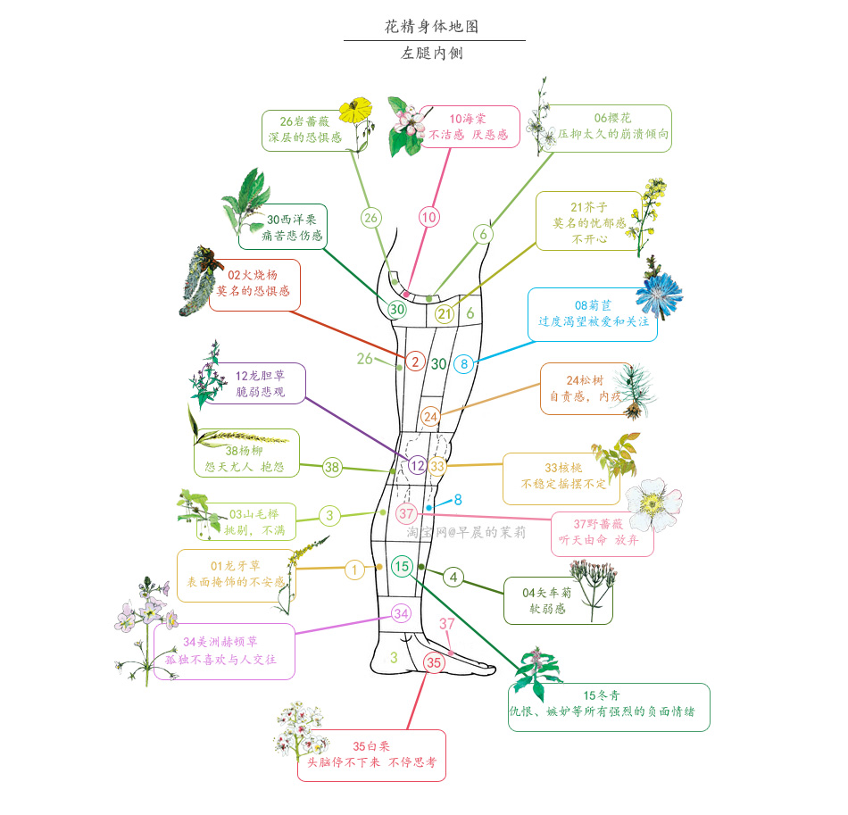 花精附录:情绪自测详表 & 身体地图