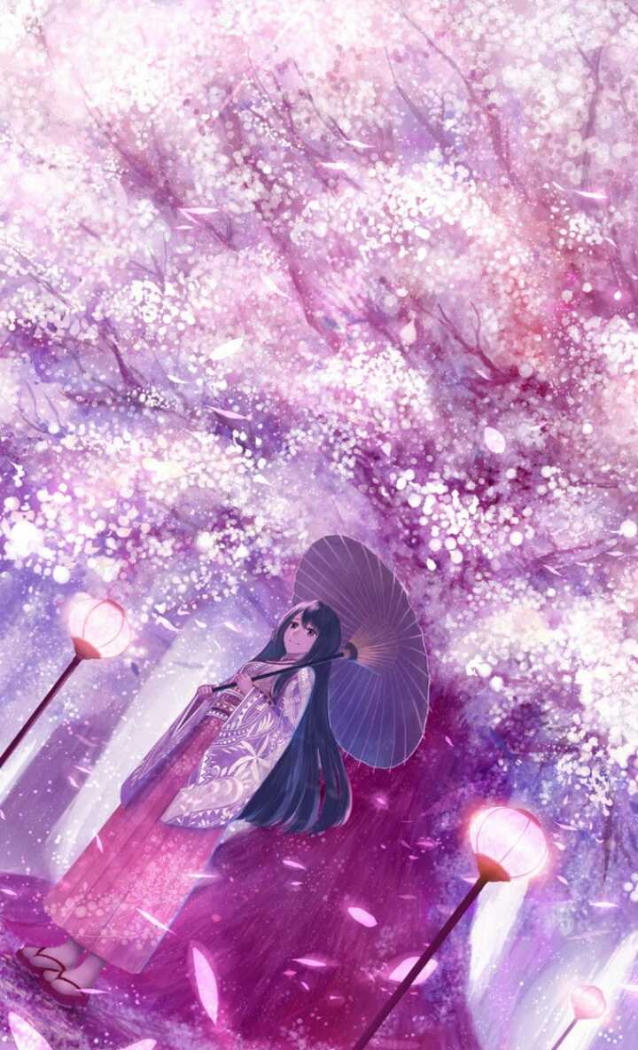 以樱花为主题的唯美壁纸