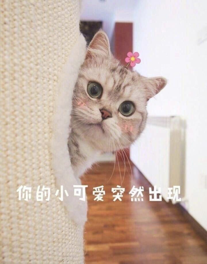 8f1d19c6c1d0784d603b5bfb654c81686d50567b.jpg