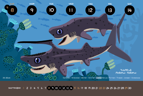 【转载】友永太吕《化石水族馆》系列第二弹