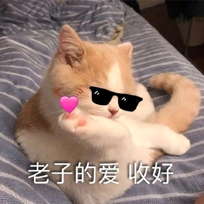 那些情侣聊天常用的表情包(什么都有篇)