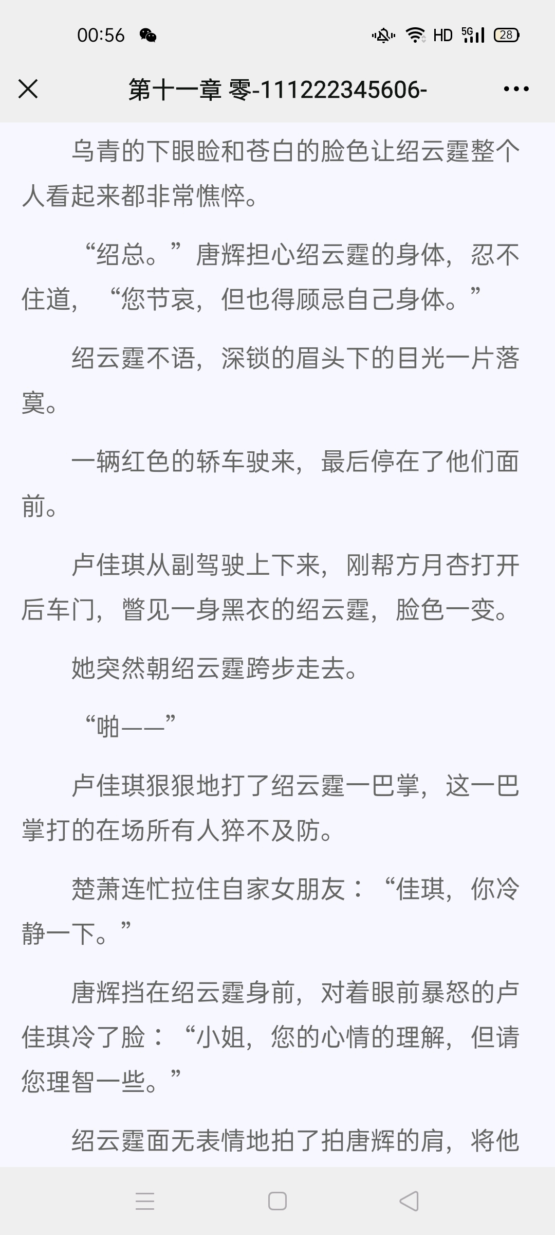 顾亦雪邵云霆