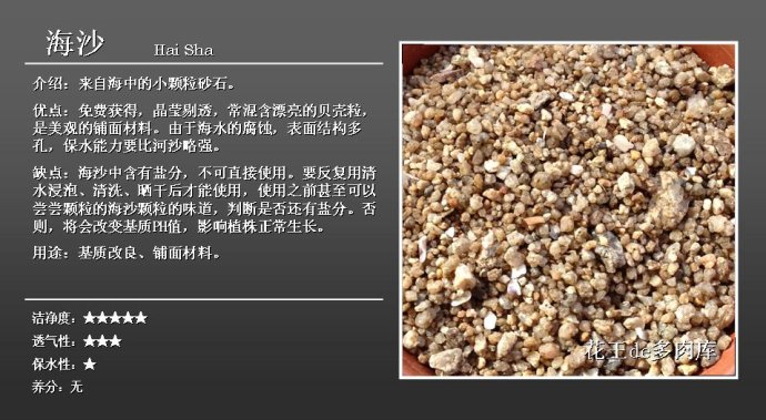 多肉种植土推荐 9008a9e7205d066b3b03efaaf46a4349642f81a3.jpg