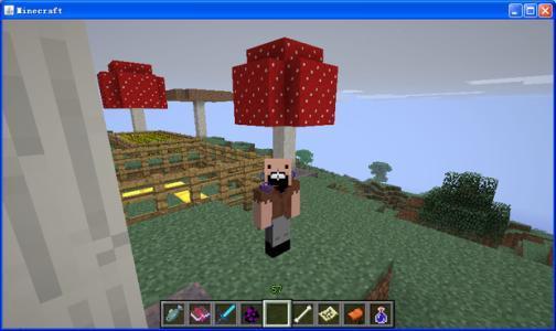 �ҵ����磺mc������Ī�������������������Ҷ�û����������