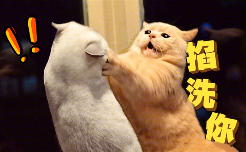 9010275eb1015a9edcf5c58392f9159142c1626d.png