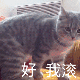 搞笑动图