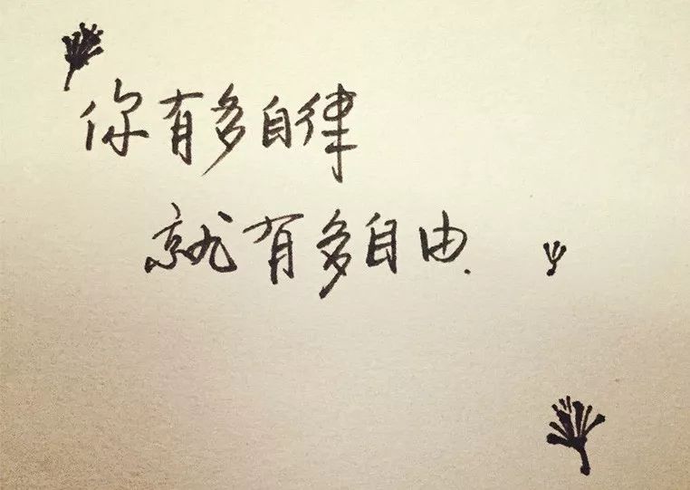 送给大家一句话——自律给我自由.