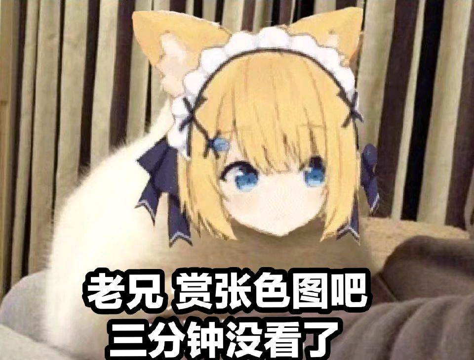 超好van的动漫表情包和漂亮美图第二百九十七期