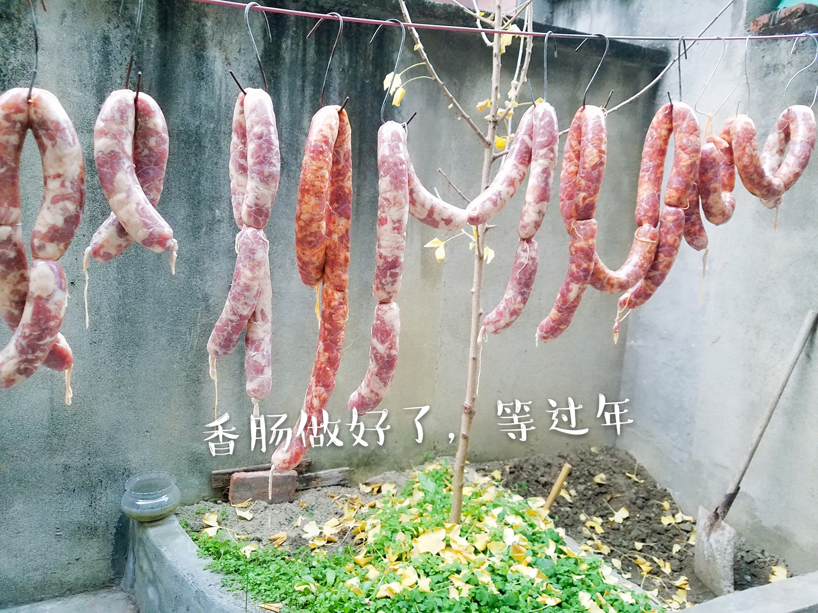 2017年最后几天,香肠做好了,就等过年了!