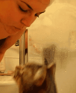 我跟我家猫交往两年了,它至今还不让我亲嘴儿