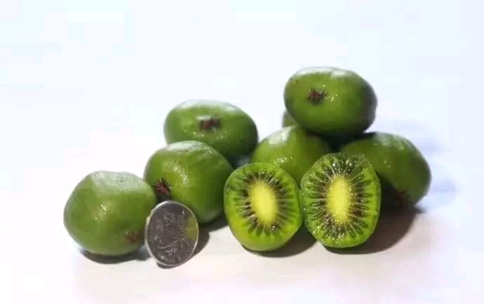 新西兰奇异莓