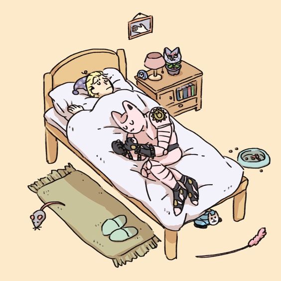 一些猫片