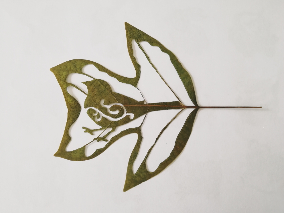 叶雕#不同树叶的雕刻效果测评