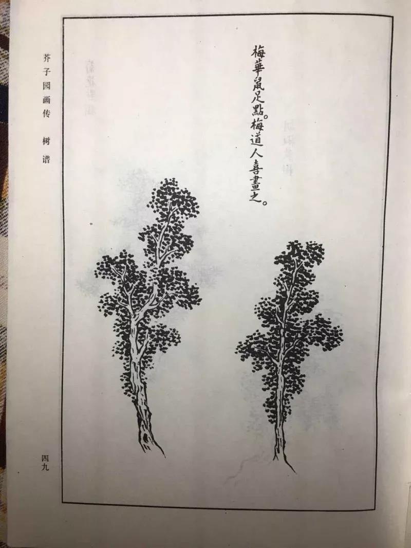 「小二画唠」《芥子园画谱》系列之——点叶法