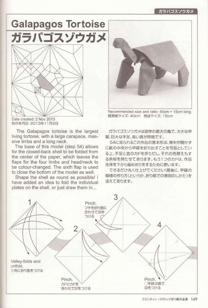 折纸加拉帕戈斯象龟-昆汀