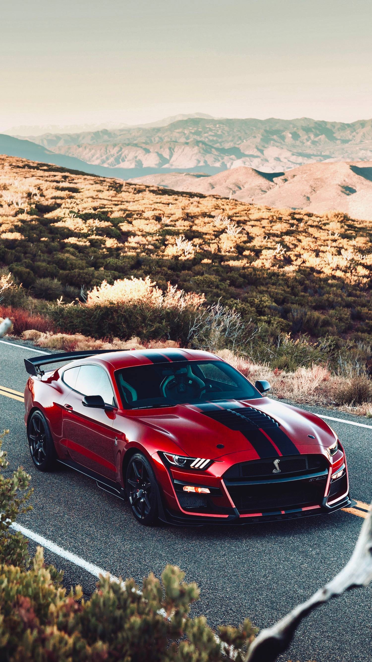 fordmustangshelbygt500