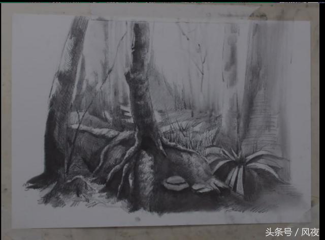 素描画风景,教你如何分辨画面的黑白灰,你学会了吗?