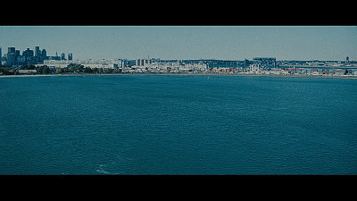《城中大盗》(the town 2010)