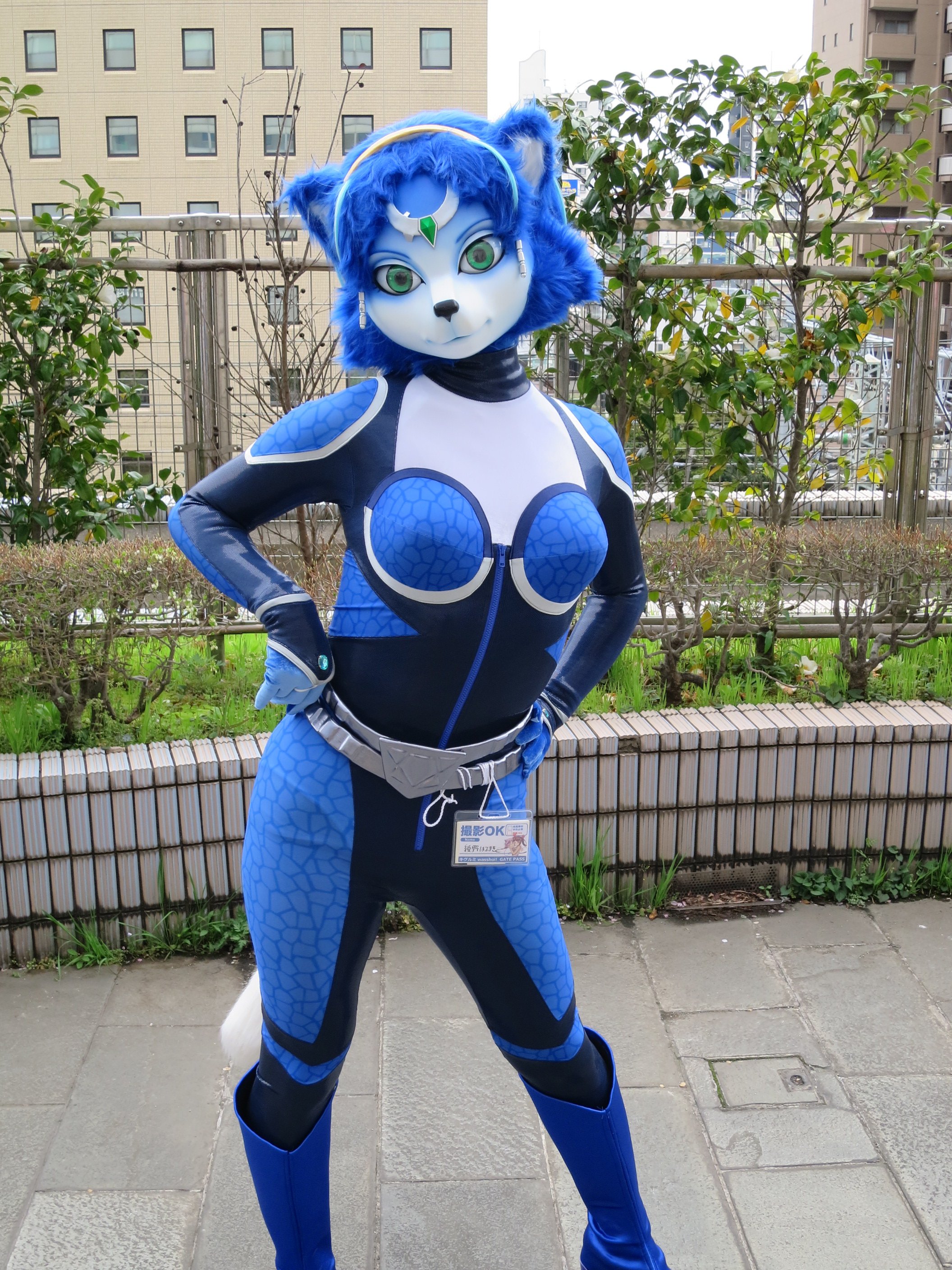 美系fursuit图集一