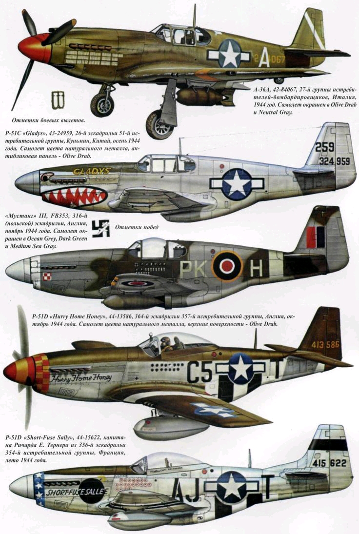 p51野*战斗机