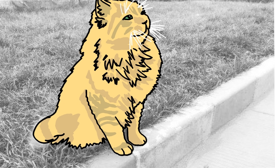 《当每颗星星》流浪猫话题手书解析