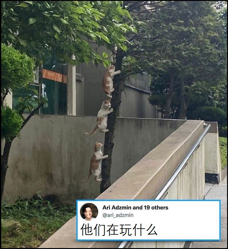 生活 日常 硬核沙雕图09