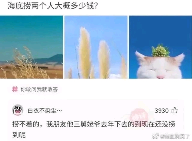 gif表情包沙雕,gif表情包制作器