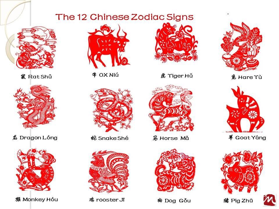 中国十二生肖 chinese zodiac