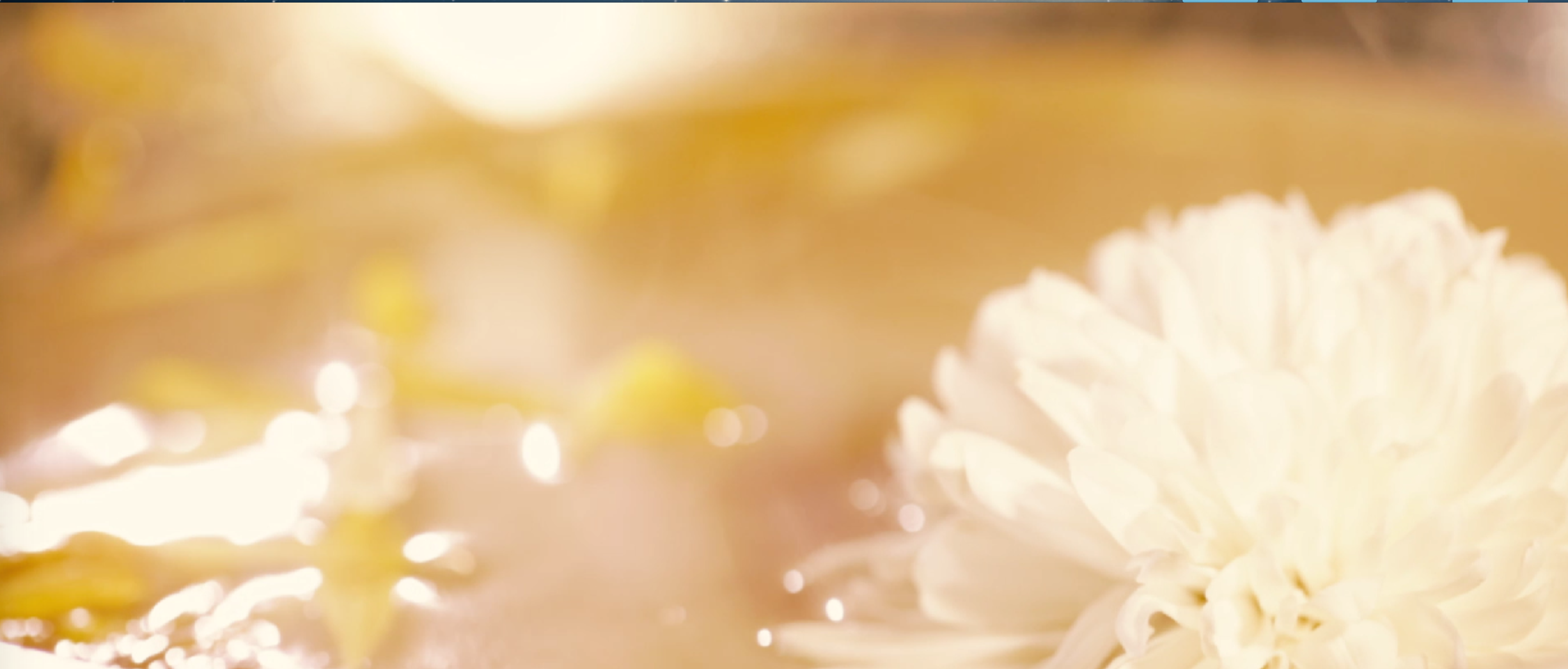 慈禧一生嗜菊如命，菊花火锅便是她的得意之作